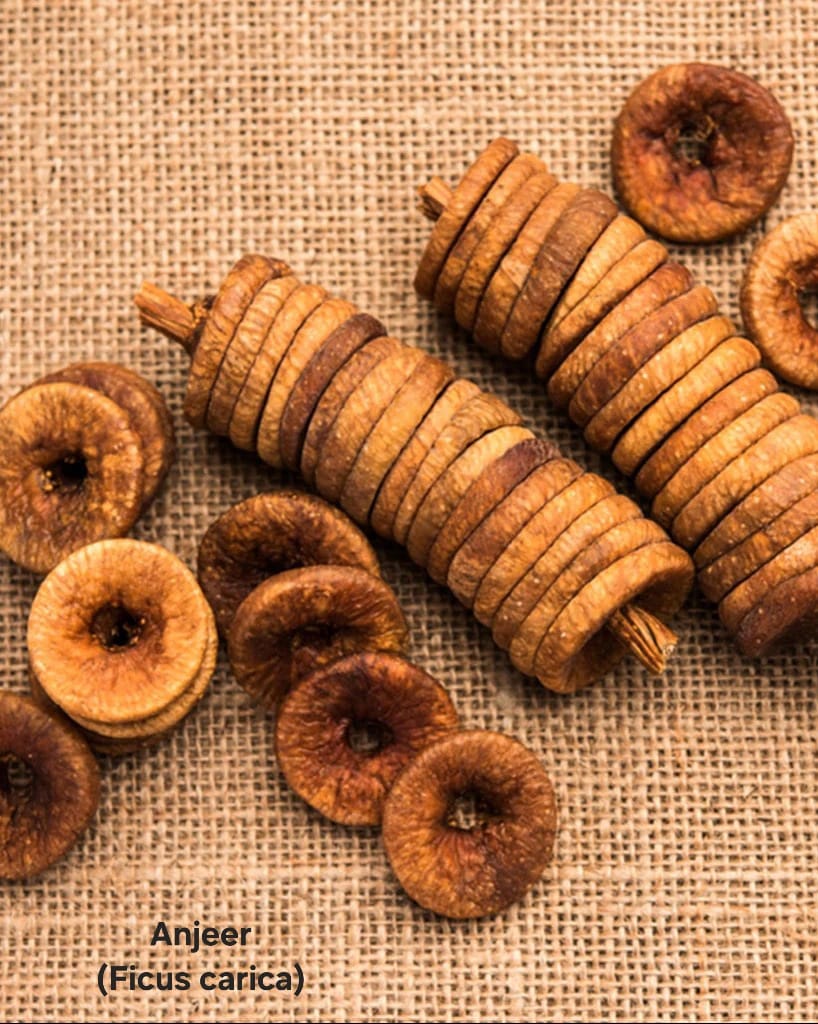 WhatsApp Image 2025-04-04 at 11.57.57 AM.jpeg